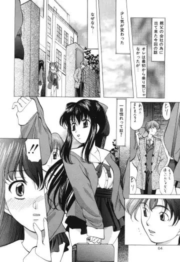 [Onihime] Reijou Collection Fhentai - Page 64
