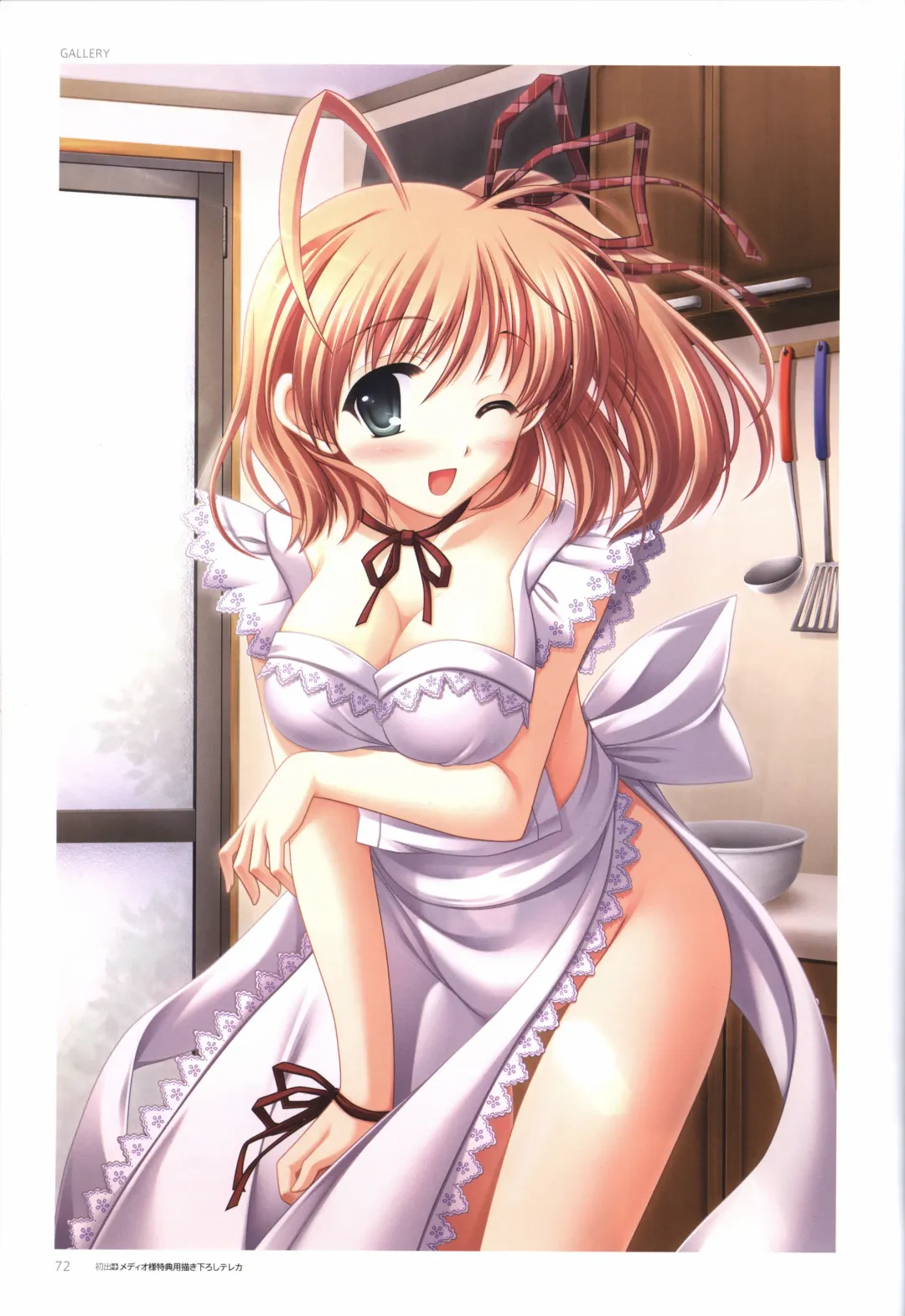 [Odawara Hakone] Concerto Note Visual Guide Book Fhentai - Page 74