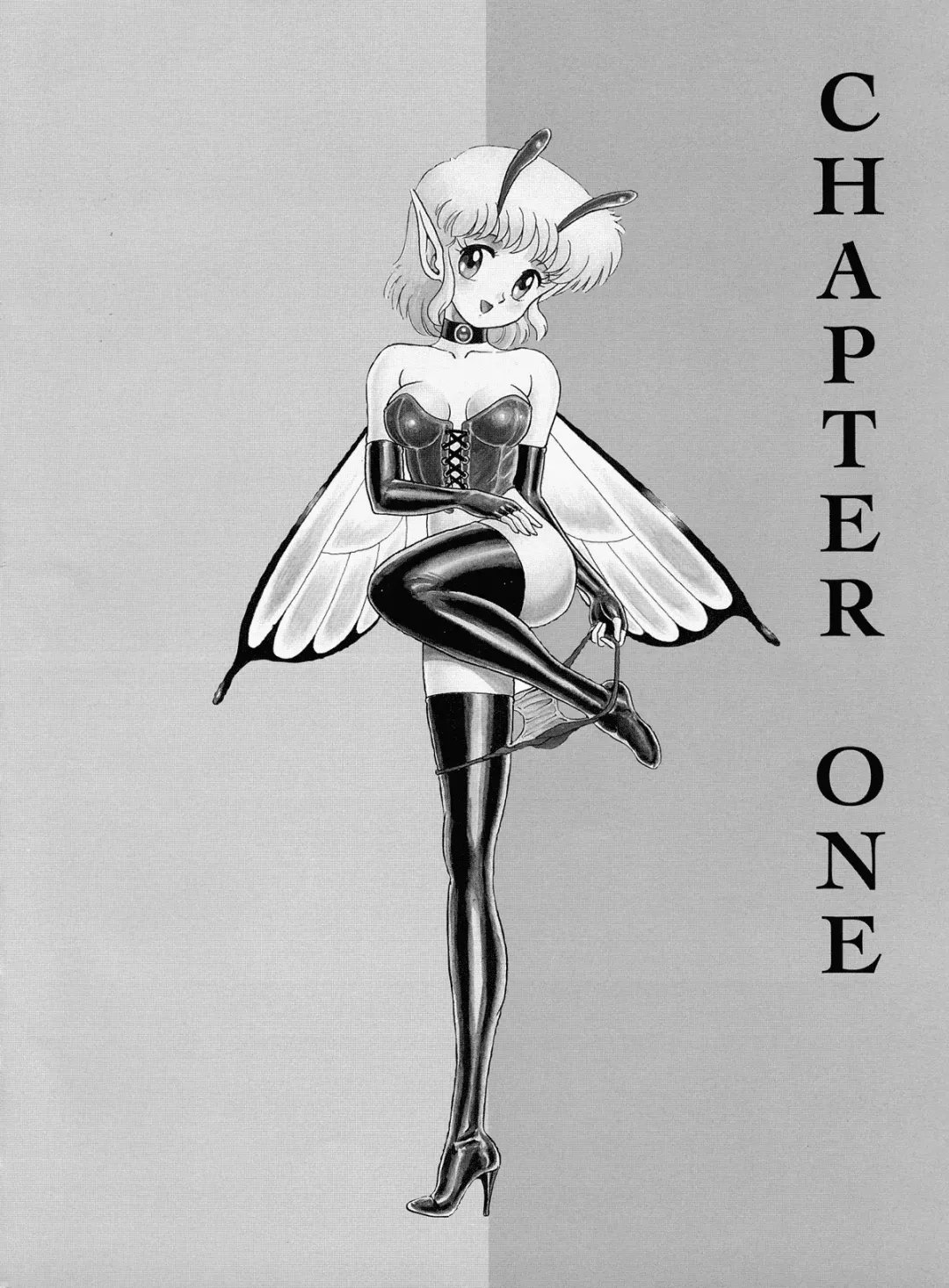 [Kondom] The Original Bondage Fairies. Book One. Fhentai - Page 5