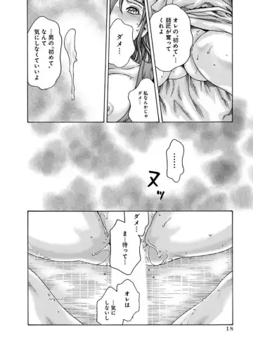 [Haruki] Araxa Ninpo-Cho 4 Fhentai - Page 20