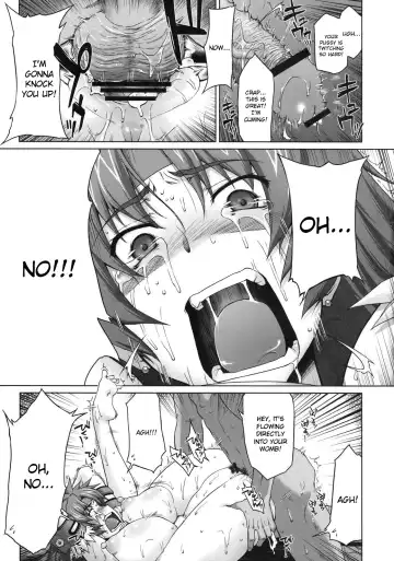[Seura Isago] Risty-Rin ~Kanzenban~ Fhentai - Page 34