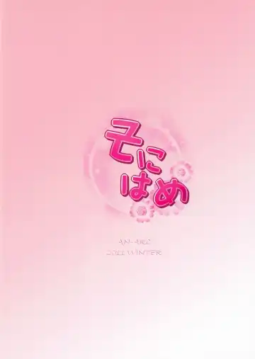 [Hamo] Sonihame Fhentai - Page 17