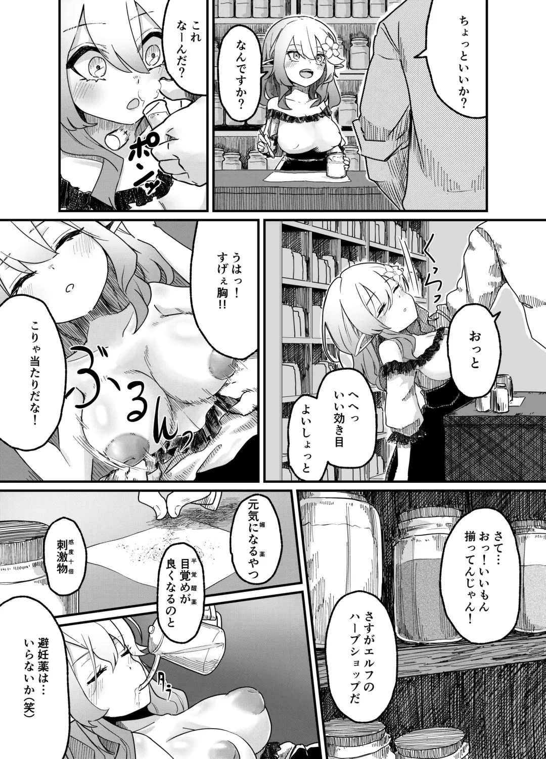 [Bs3] Elf o Okasu Hon 2 Fhentai - Page 4