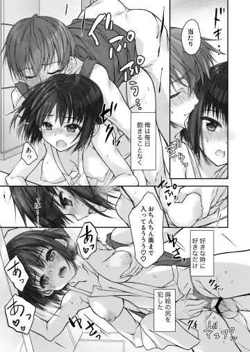 Mada Koi mo Shiranai Gimai no Anaru de no Himegoto Fhentai - Page 17