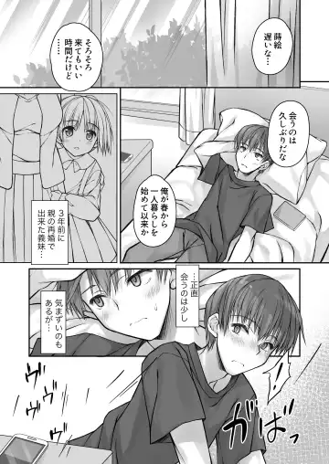 Mada Koi mo Shiranai Gimai no Anaru de no Himegoto Fhentai - Page 3