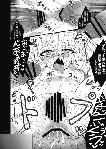 [Sanwaribiki] Gensou Enkou -Flandre- San wa Fhentai - Page 26