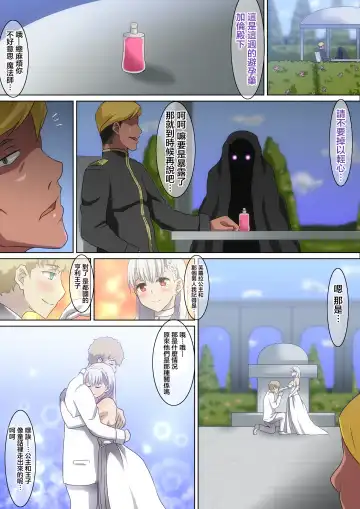 [Hara] Shiro no Ohime-sama Fhentai - Page 9