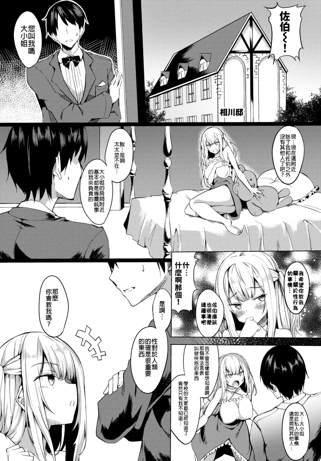 [Fuji-han] Ojou-sama mo Ecchi ga Shitai Fhentai - Page 3