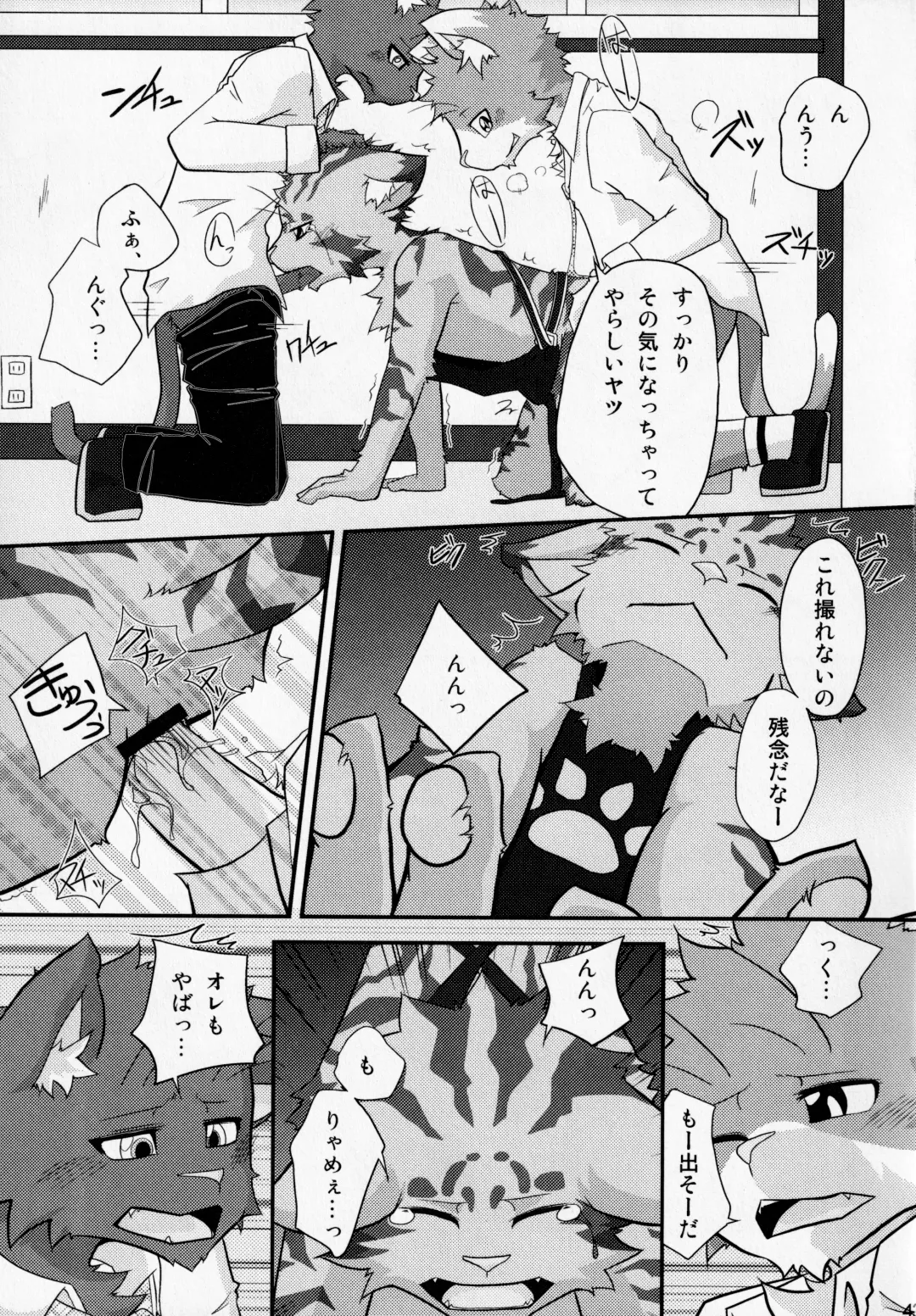 Kemopus 2 -Bukatsudou Hen- Fhentai - Page 42