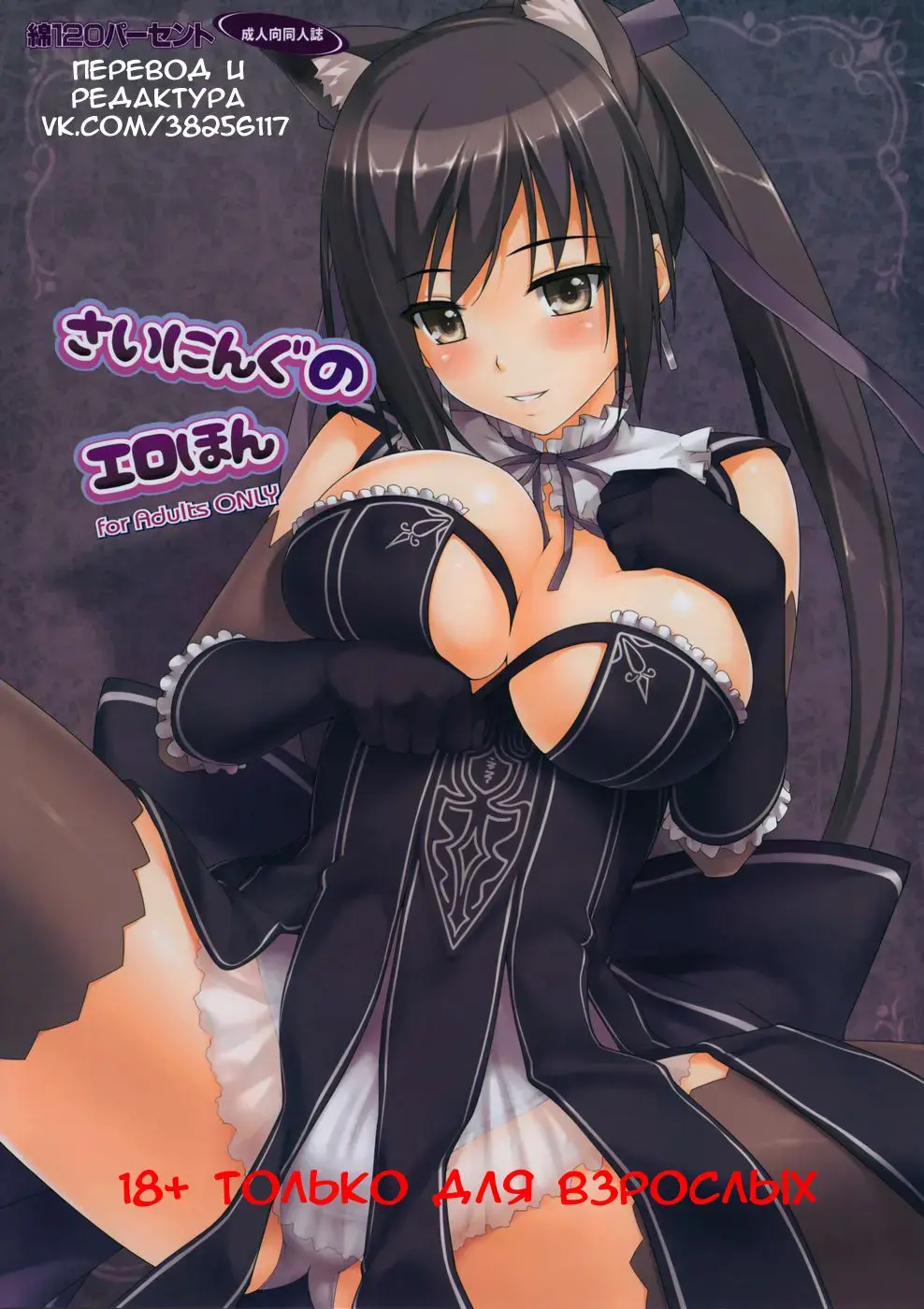 [Menyoujan] Shining no Erohon | Shining Erotic Book (decensored) Fhentai - Page 1