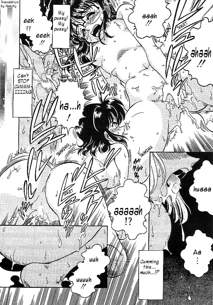 [Chachaki Noriyuki] Ikka Danran | Ikka Goes Wild Fhentai - Page 22