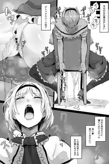 [Starraisins] Alice Fhentai - Page 3