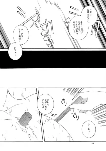 [Honoutsukai] Xs Fhentai - Page 16
