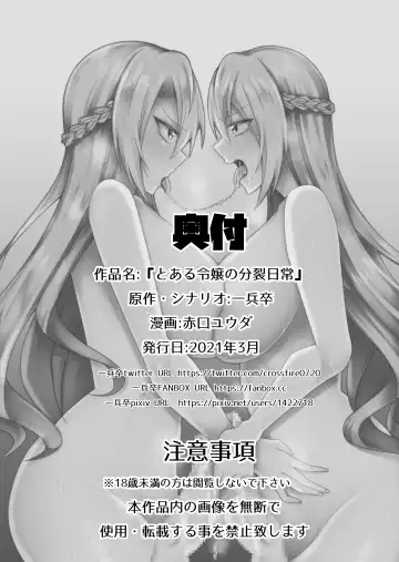 [Akaguchi Yuuda] Toaru Reijou no Bunretsu Nichijou Fhentai - Page 27