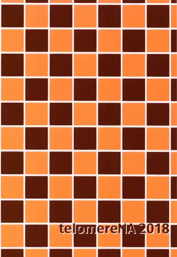 [Gustav] Minami datte Yuuwaku Shimasu yo? | Don't Think For A Second That Minami Won't Seduce You. Fhentai - Page 70