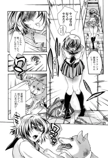 Kemono For Essential 7 Fhentai - Page 10