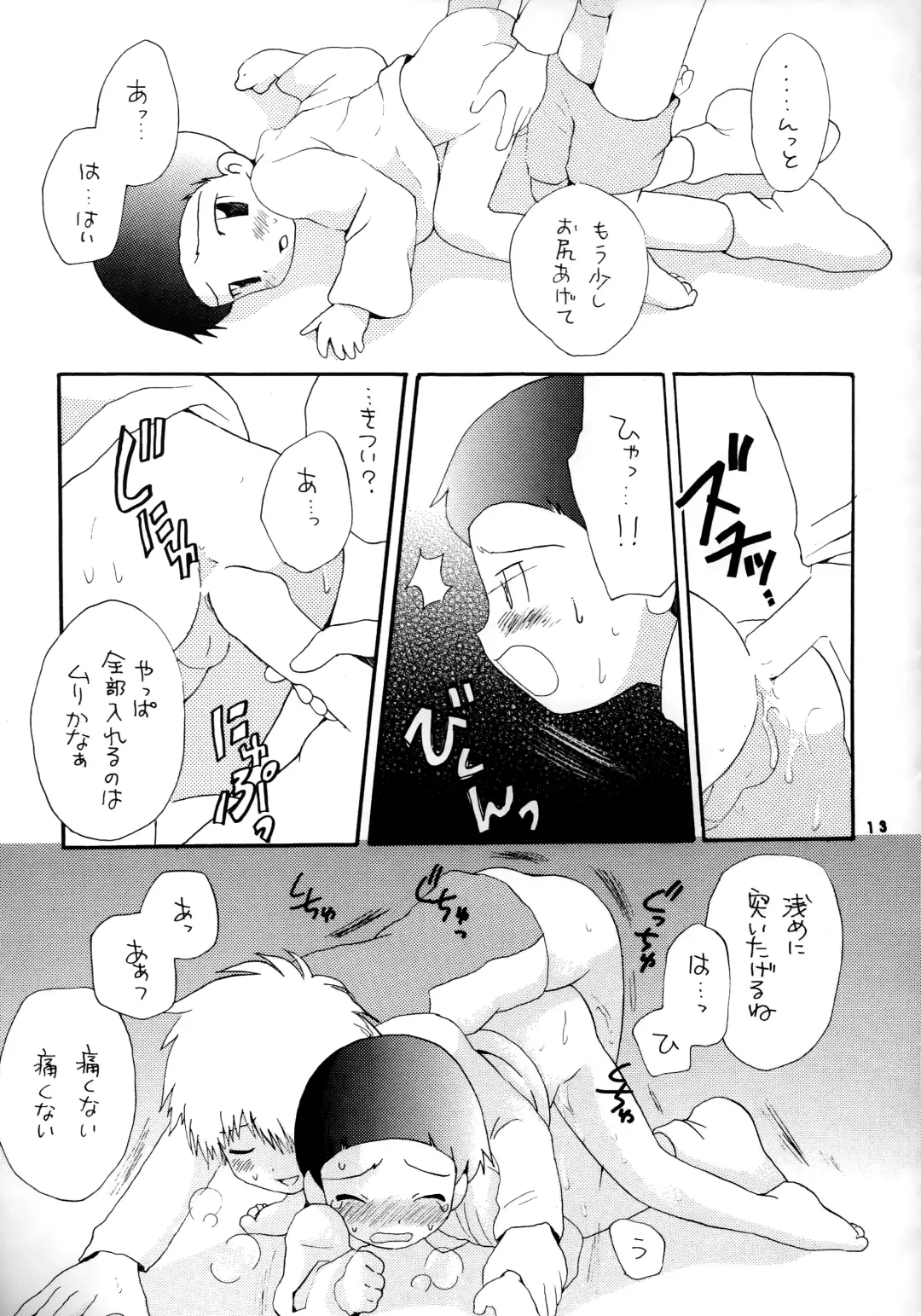 [Hoshiai Hilo] Seijitsu Na Hon Fhentai - Page 12