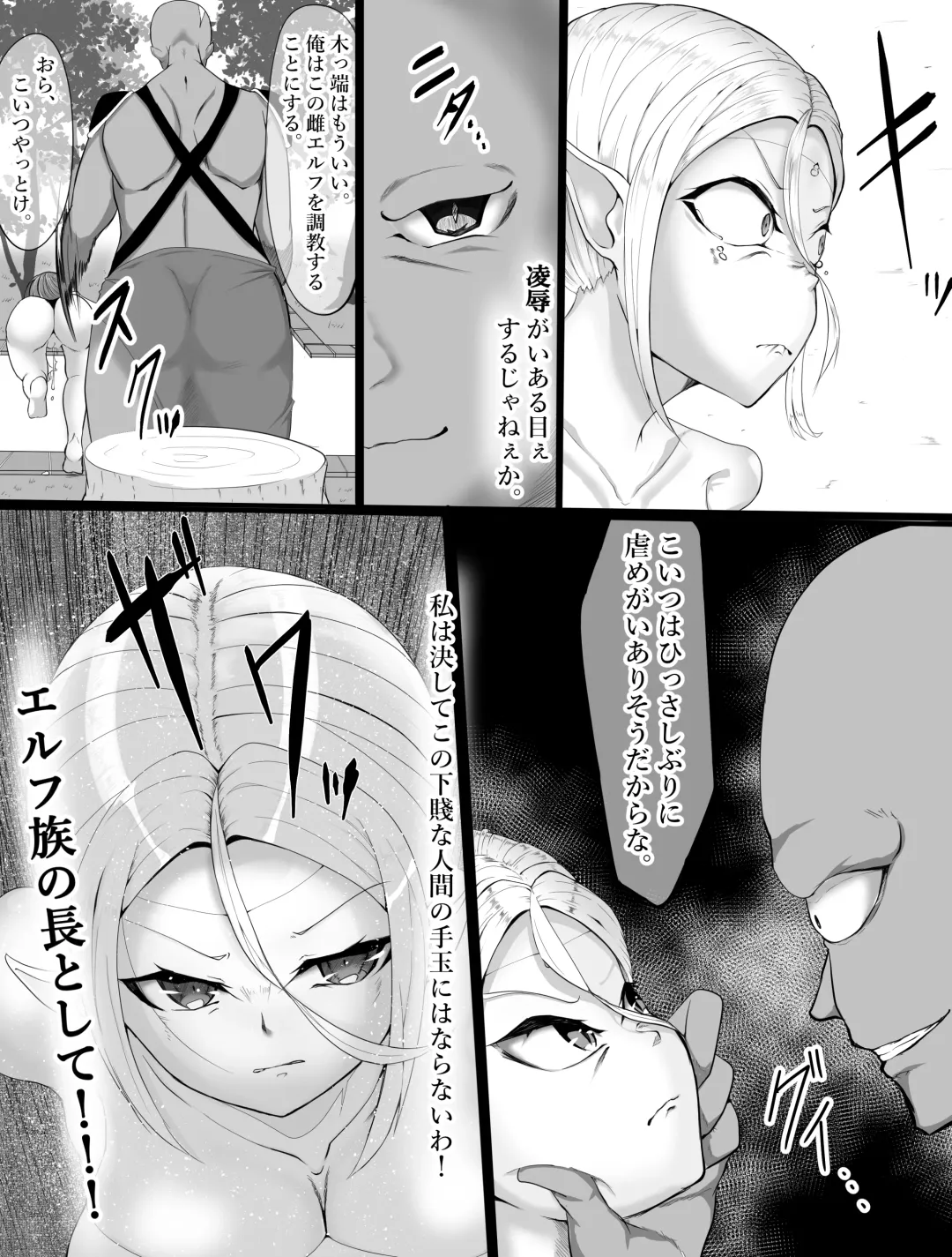 eruhu teihen dorei he to otiru～ tyoukyou hen Fhentai - Page 8