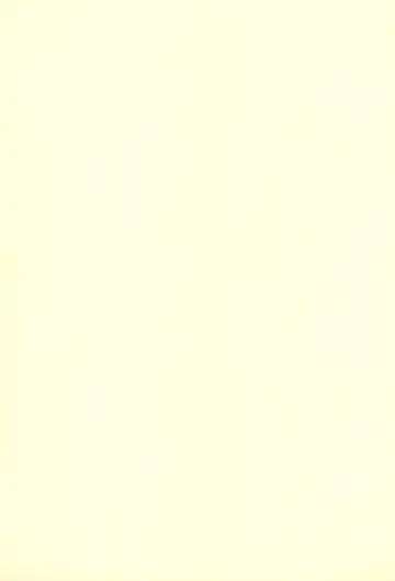 [Hafu] whip x whip Fhentai - Page 25