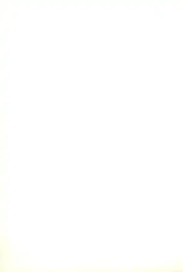 [Akuta Noe - Gedouou M - Nishi Iori] Denkai Fhentai - Page 51