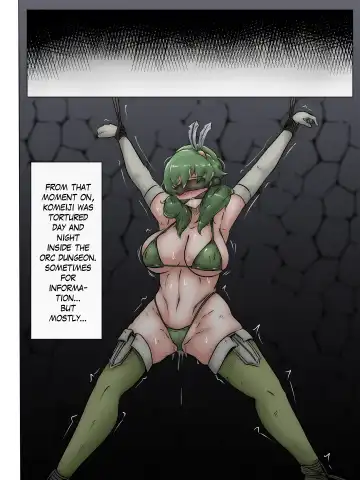 [Alte-rie] The Captured Adventurer's Fate Fhentai - Page 11