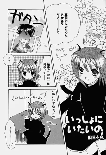 Hinnyuu Nyuukon Fhentai - Page 164