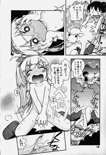 Hinnyuu Nyuukon Fhentai - Page 17