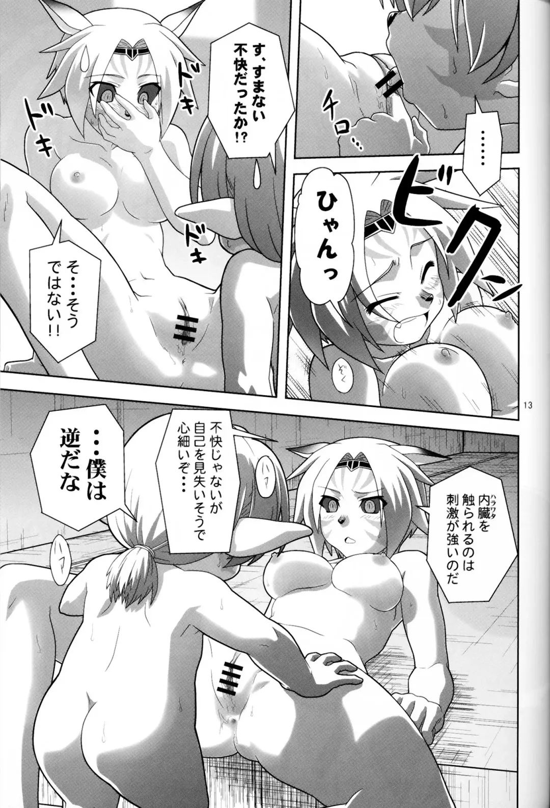 [Akikan] Irojiro Mithran Tarutaru Fhentai - Page 12