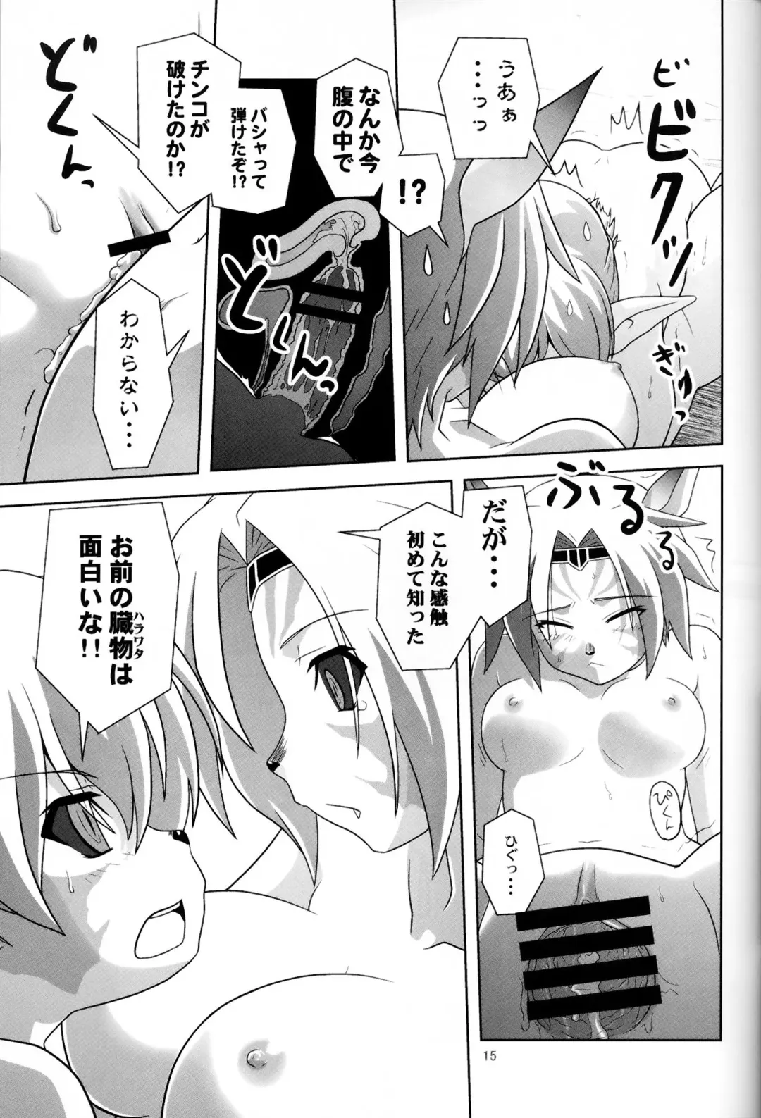 [Akikan] Irojiro Mithran Tarutaru Fhentai - Page 14