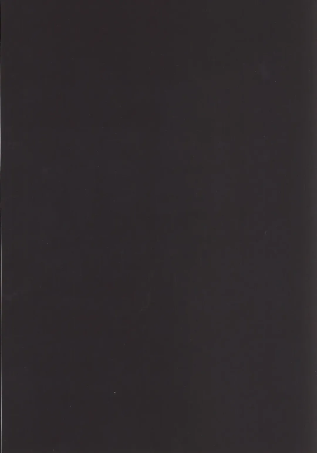 [Sasamino] Aigan Koneko Fhentai - Page 3