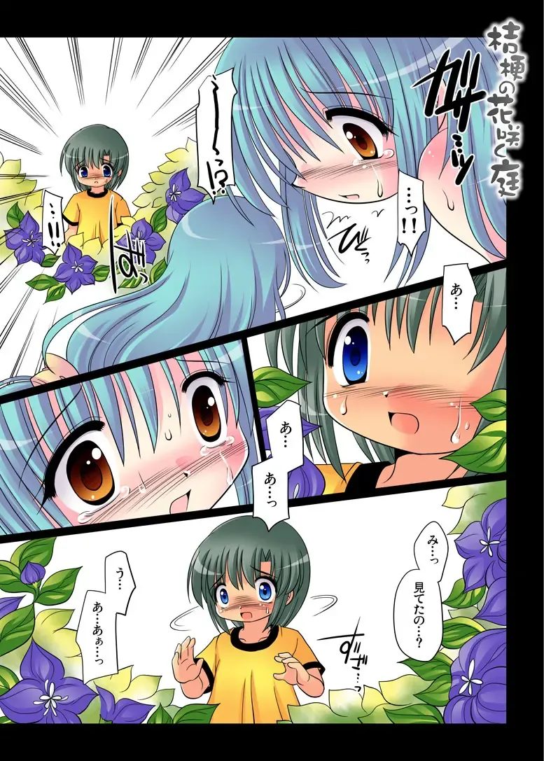 [Tetramax] Kikyou no Hana Saku Niwa Fhentai - Page 12