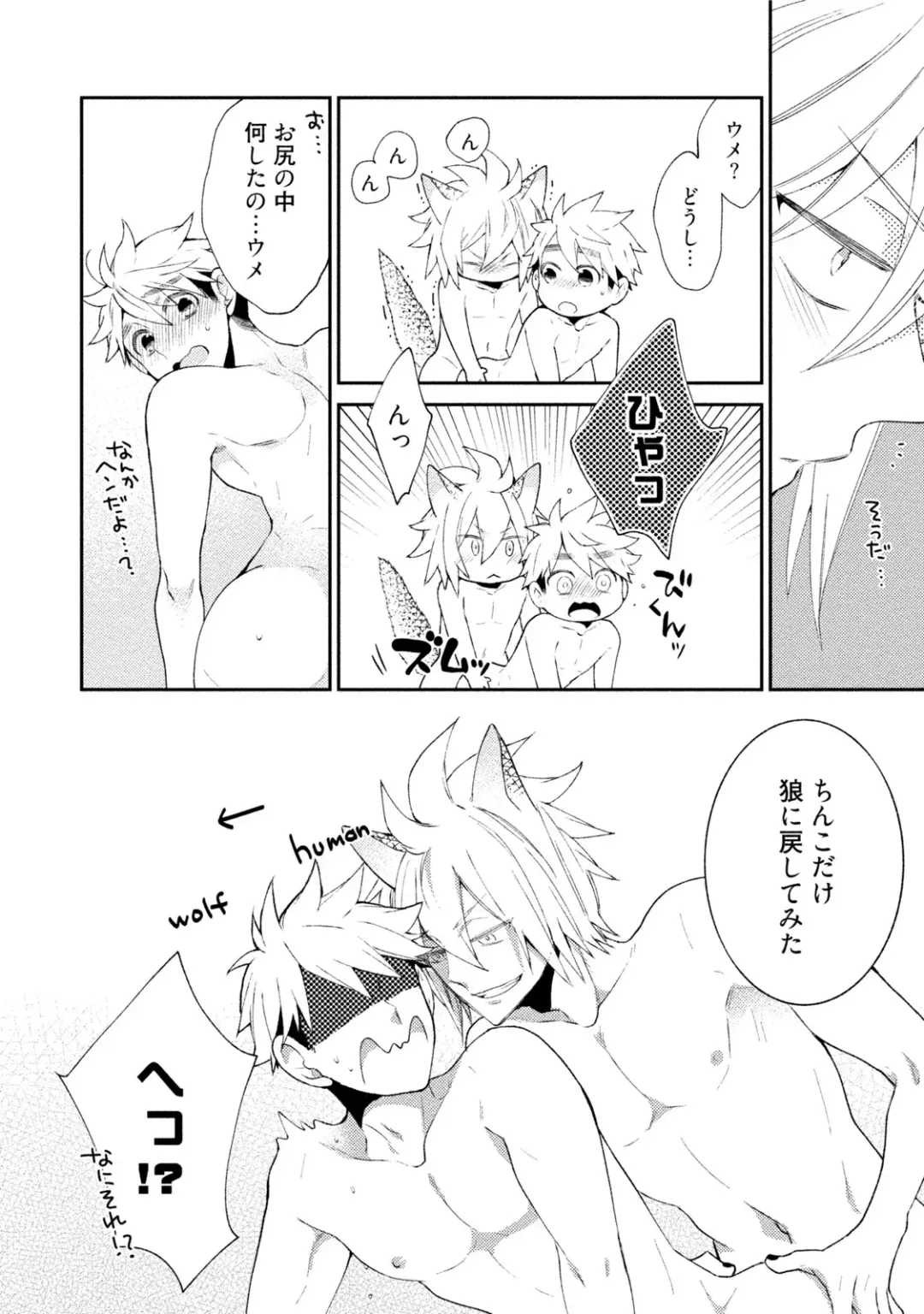 [Yoshidaya Roku] Ookami-san to Eroi koto Fhentai - Page 179