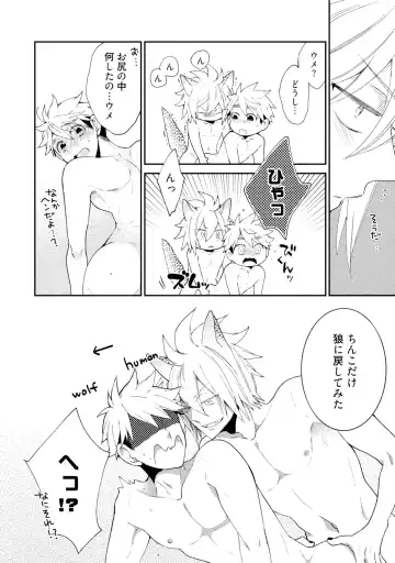 [Yoshidaya Roku] Ookami-san to Eroi koto Fhentai - Page 179