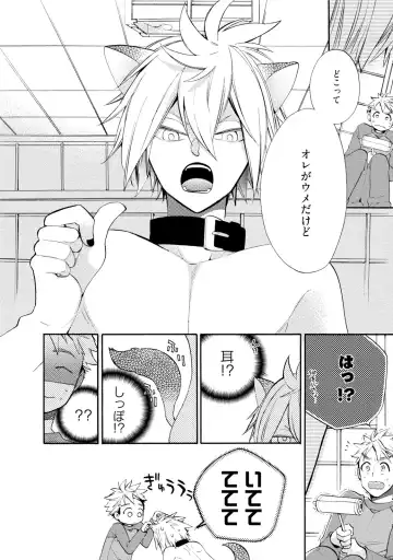 [Yoshidaya Roku] Ookami-san to Eroi koto Fhentai - Page 19