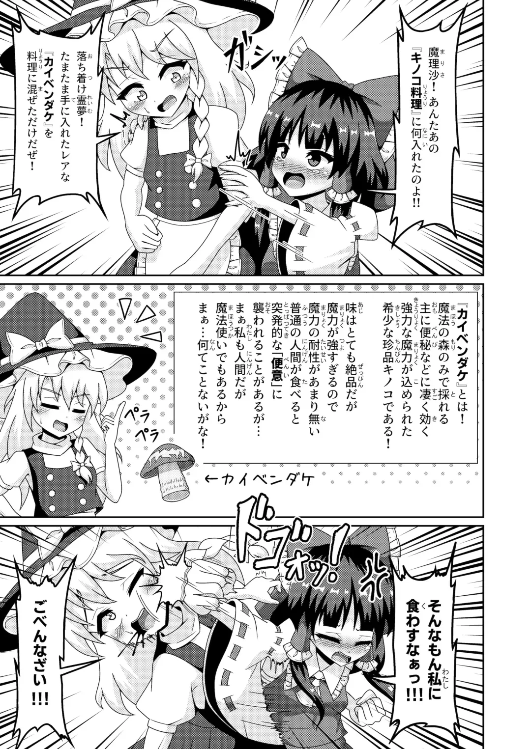 [Seiludo] Reimu no Fuun na Daiihen - Embarrassed Accidents! Fhentai - Page 14