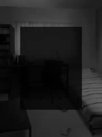 DVD hason no owabi ni okāsan o sashide shitara mechakucha ni ryōjoku sa rete mesu inu no honshō ga bare chatta Fhentai - Page 22