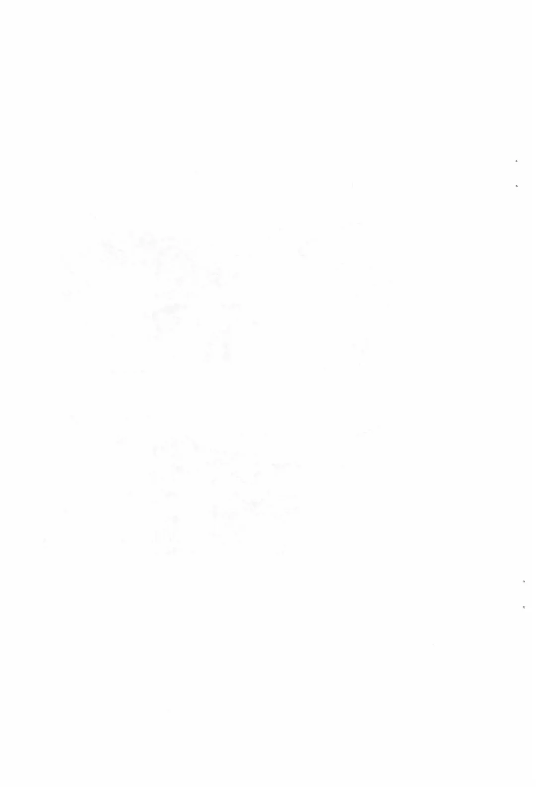 [Haniwa Hao] DEVIL TOMBOY Fhentai - Page 11