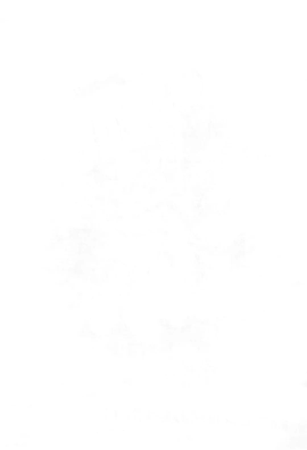 [Serizawa Yuuji] Kanna-chan Abunai yo Fhentai - Page 11