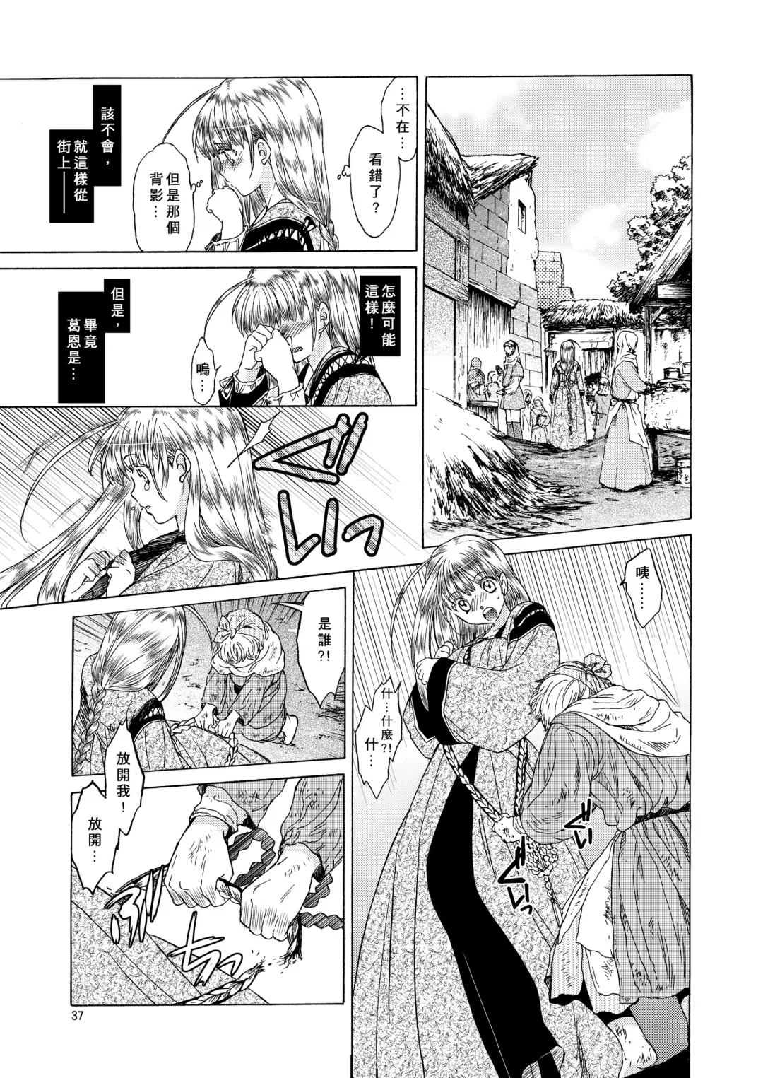 [Heizo - Kitoen] Saint Foire Festival 5 Richildis Fhentai - Page 37