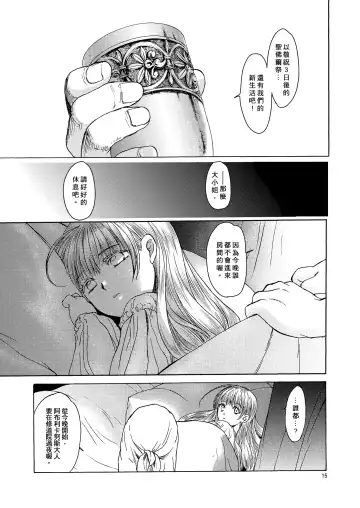 [Heizo - Kitoen] Saint Foire Festival 5 Richildis Fhentai - Page 15