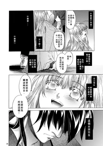 [Heizo - Kitoen] Saint Foire Festival 5 Richildis Fhentai - Page 28