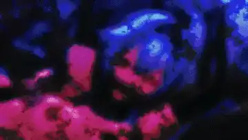 [Mana] Eula Fhentai - Page 36