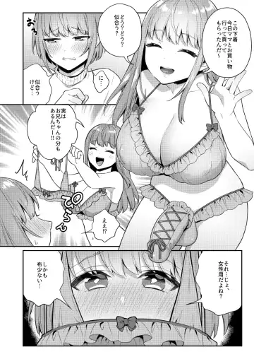 [Binto] Zoku Okkii Imouto Chicchai Ani Fhentai - Page 3