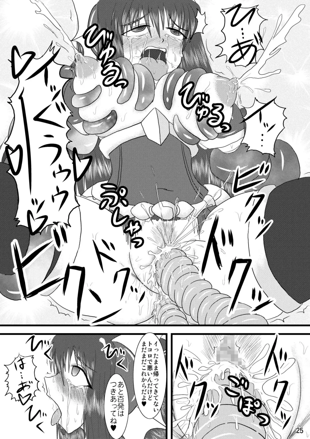 [Ryutou] Shield Knight Elsain Vol.2 "Nightmare Agitator" Fhentai - Page 25