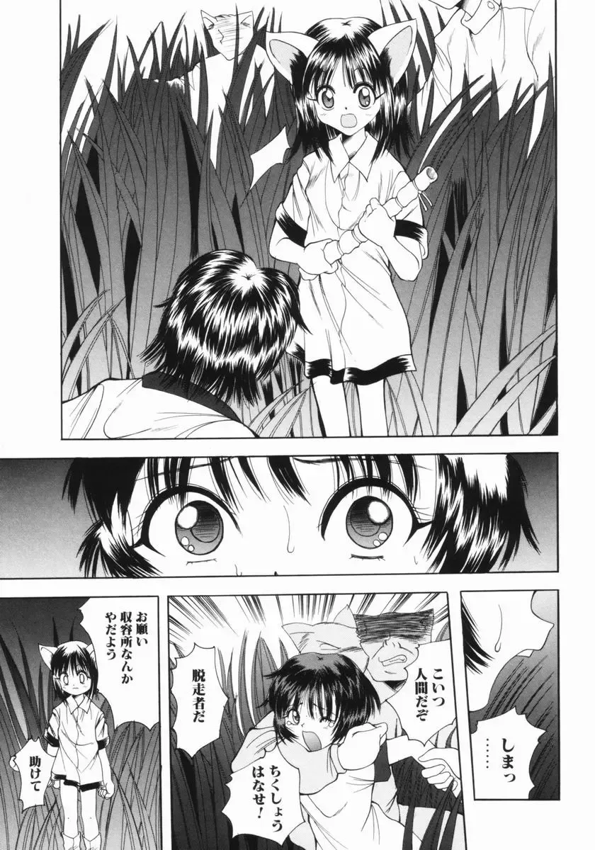 [Saiki Efu] Tsurupeta Taibatsu Shoujo Fhentai - Page 68