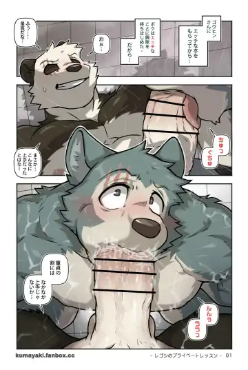 [Kumak] ACTION! - レゴシのプライベートレッスン (BEASTARS)（日本語版） Fhentai - Page 3