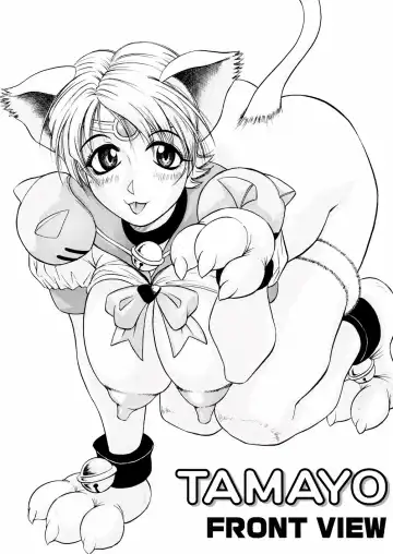 [Jamming] Shuuchi Byoutou Fhentai - Page 3