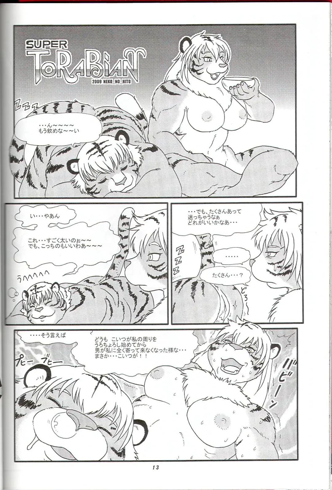Kemono no Sho Juuroku - Book of The Beast 16 Fhentai - Page 12