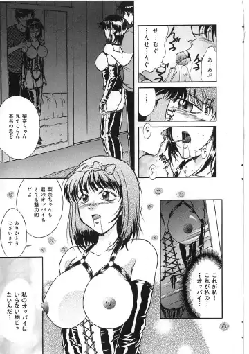 [Shizuki Shinra] Kyonyuu Bondage Fhentai - Page 11
