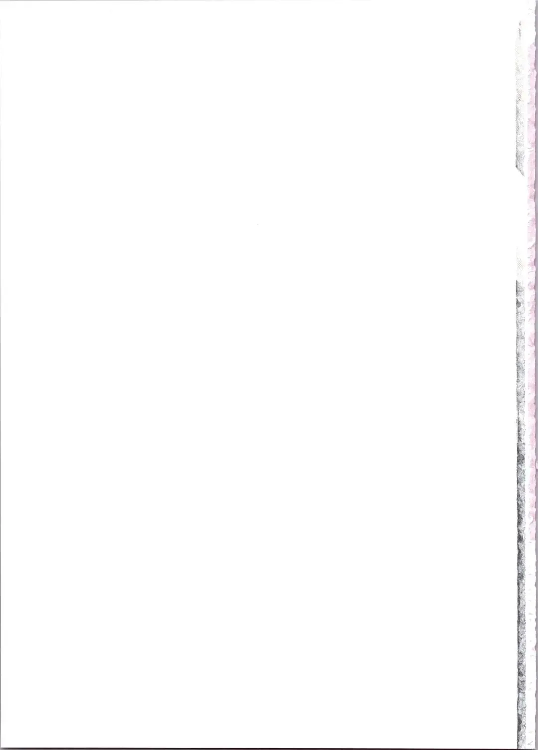 [Kozato Miho] Lina Inverse Juu Shinkan ni NTR Kairaku Ochi | 莉娜・因巴斯被獸神官NTR墮入快樂 Fhentai - Page 31